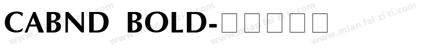 CABND BOLD字体转换